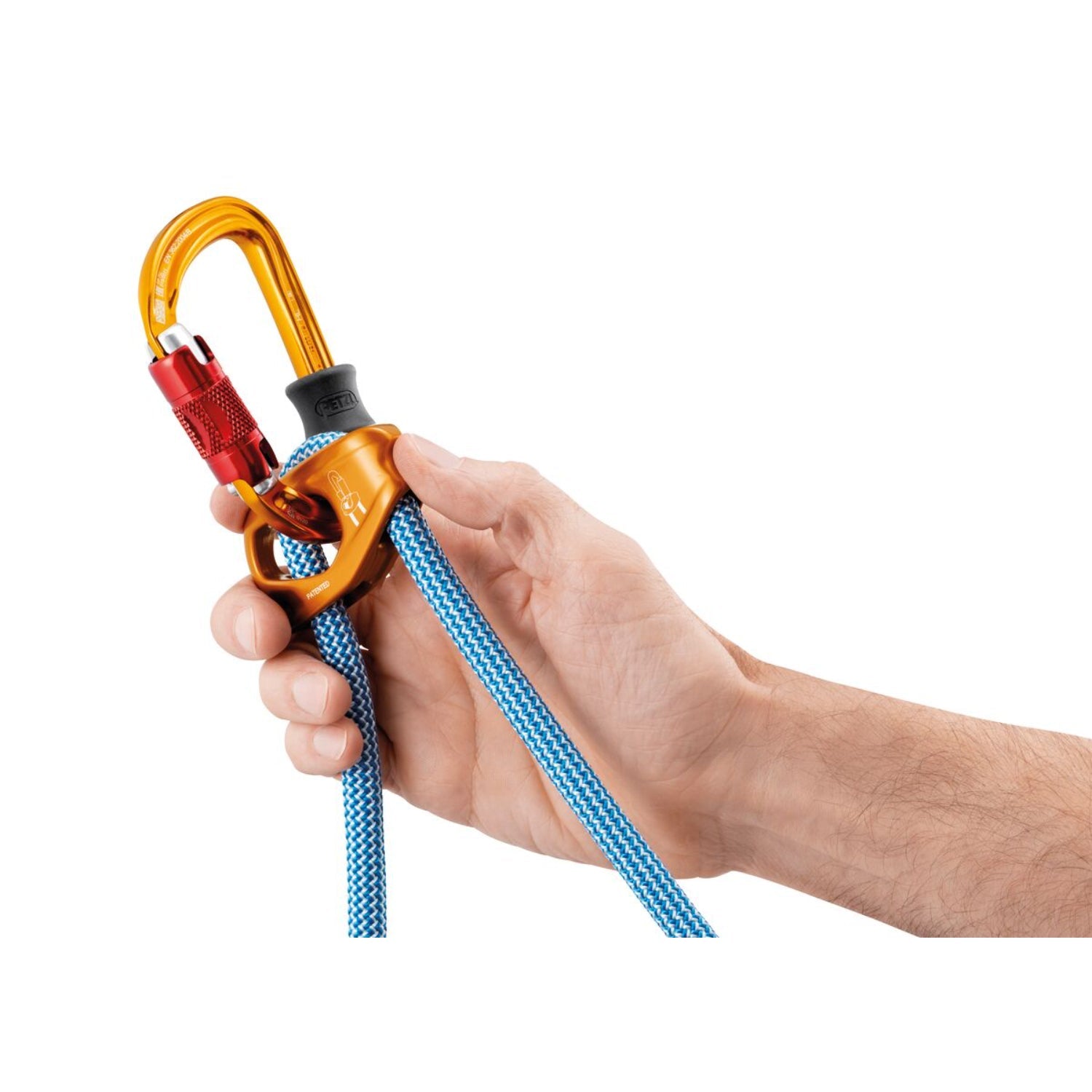 Blue dog leash with orange clip on a white background