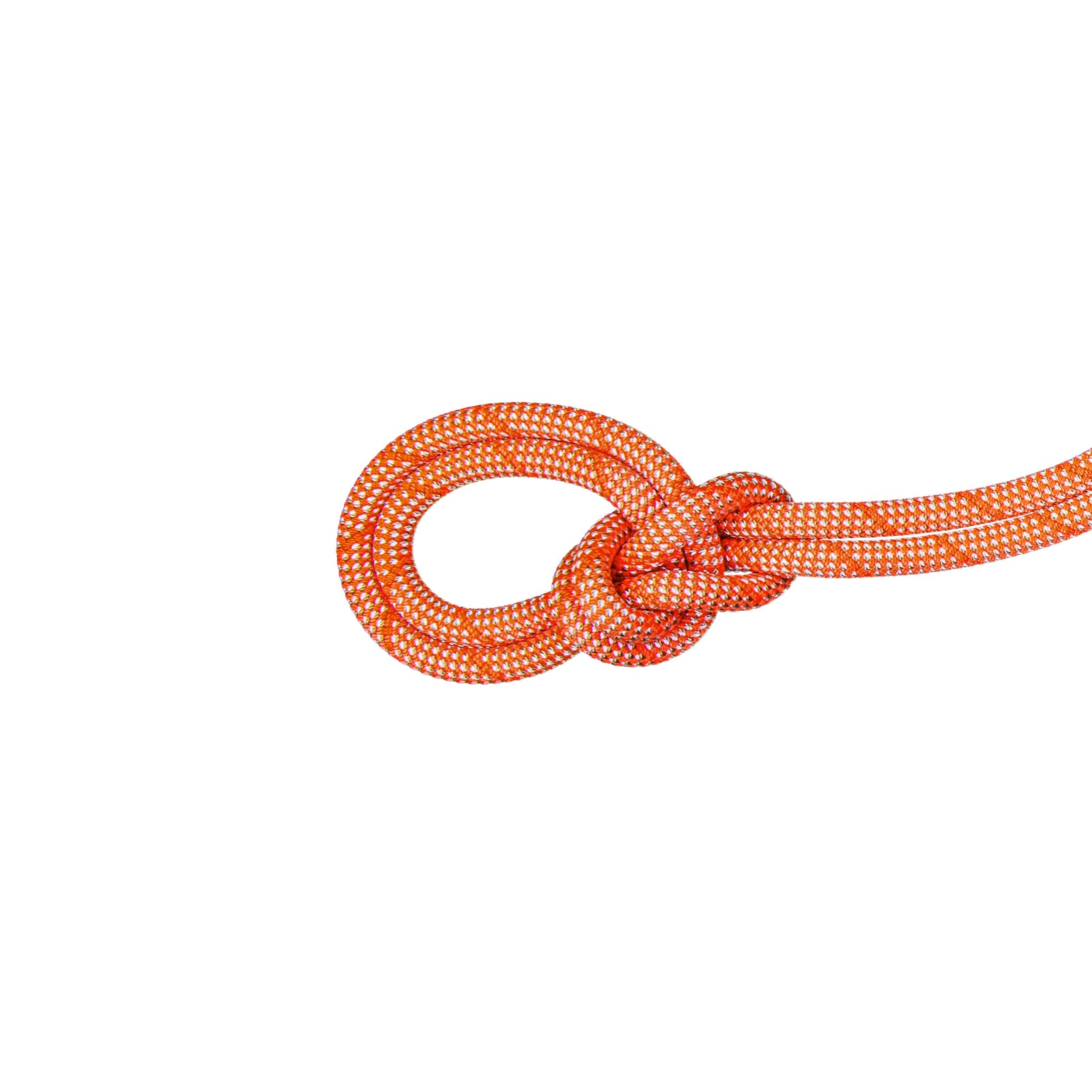 Mammut Crag Classic 9.8mm climbing rope in ice mint blue and white