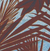 Palm